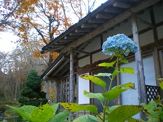 青荷温泉　「ランプの宿」_b0056570_0514573.jpg