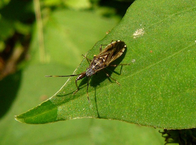 d0019074_931467.jpg