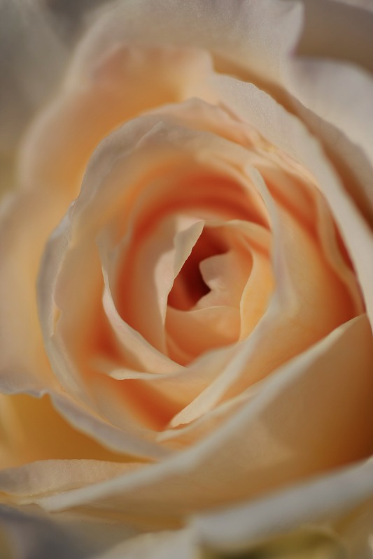 e0174074_229275.jpg