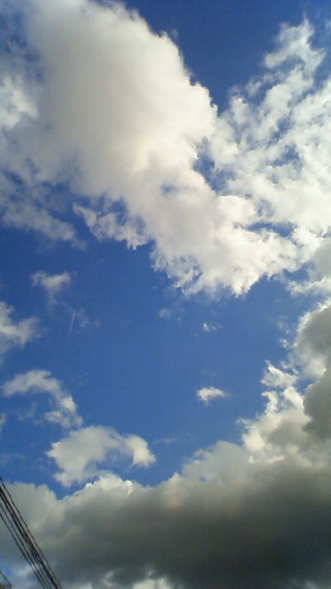e0184077_2203294.jpg