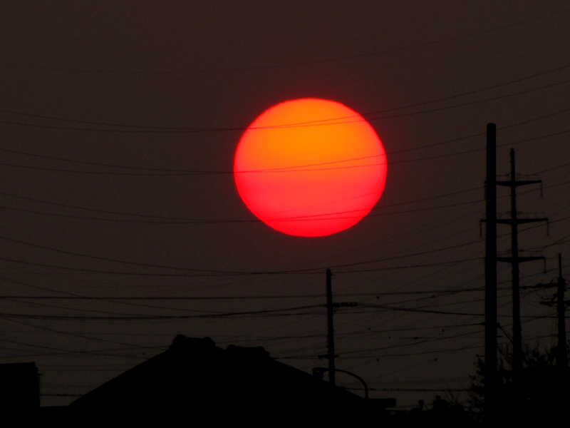 まんまる夕日_b0183879_2155937.jpg