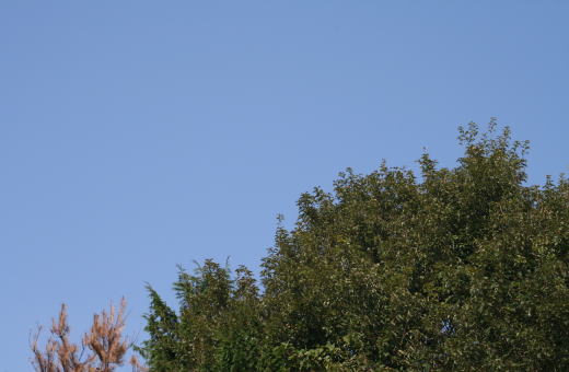 b0136683_1629122.jpg