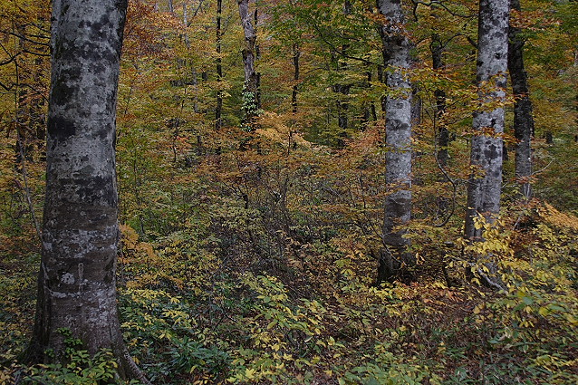 e0165983_13542233.jpg