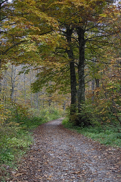 e0165983_13561439.jpg