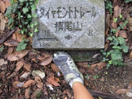 b0050787_214995.jpg