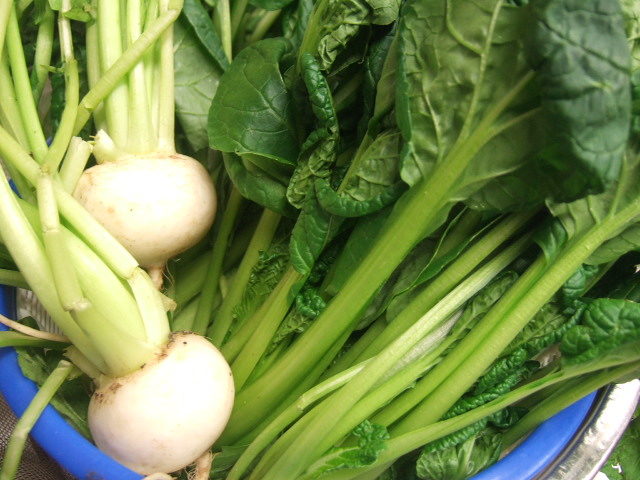 手作り野菜を頂いて_c0128487_23364870.jpg