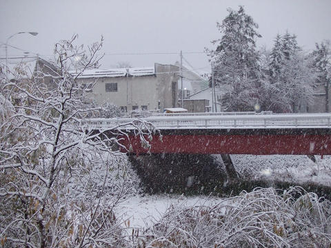 e0160787_84139.jpg