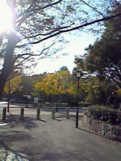 大阪城公園は秋の香り_c0155089_21522065.jpg