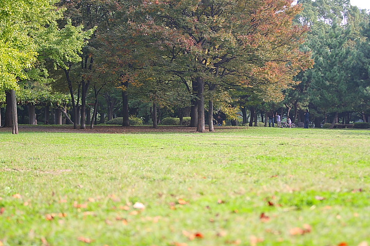 f0164989_03627.jpg