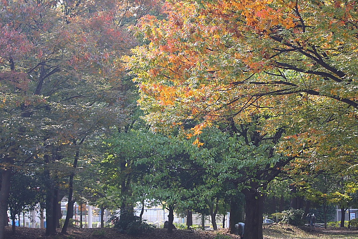 f0164989_04366.jpg