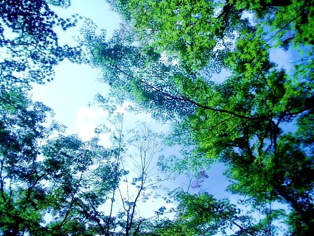 e0196993_22162289.jpg
