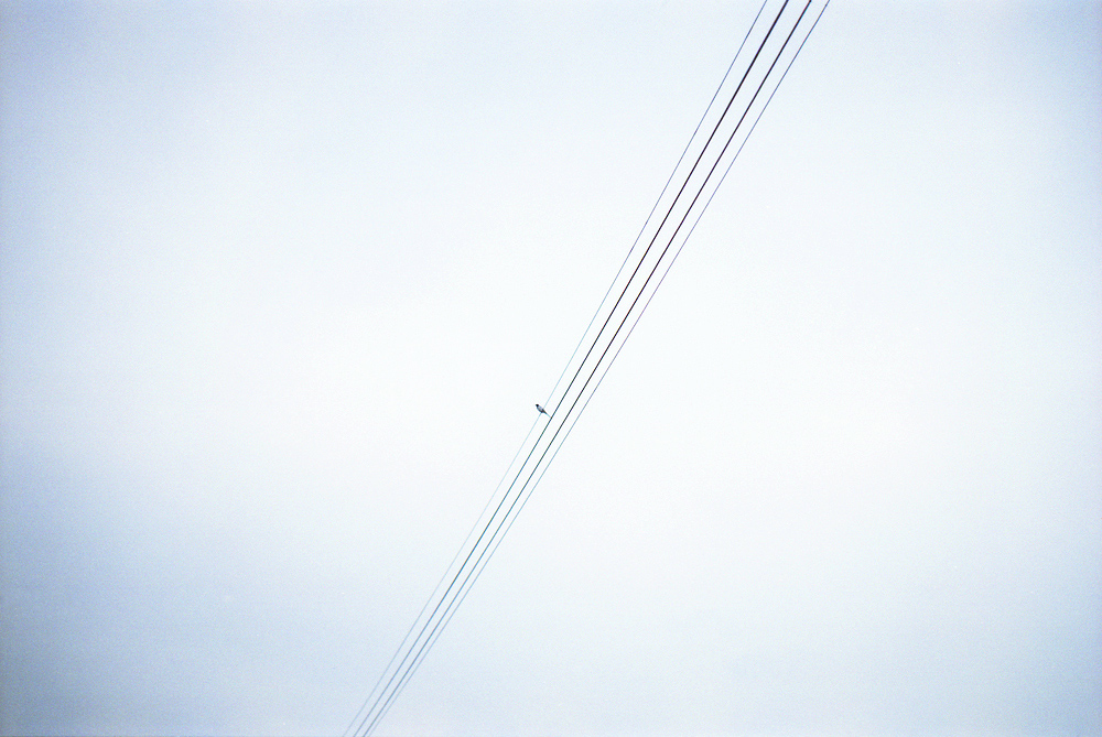 f0007294_14374745.jpg