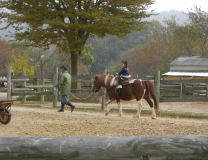 かみね遊園地→きららの里_f0075295_198027.jpg