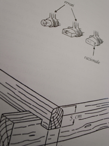鶏小屋リフォーム計画_f0106597_22504467.jpg