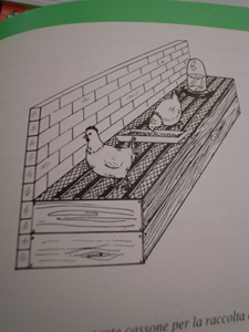 鶏小屋リフォーム計画_f0106597_2252741.jpg