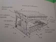 鶏小屋リフォーム計画_f0106597_2256173.jpg