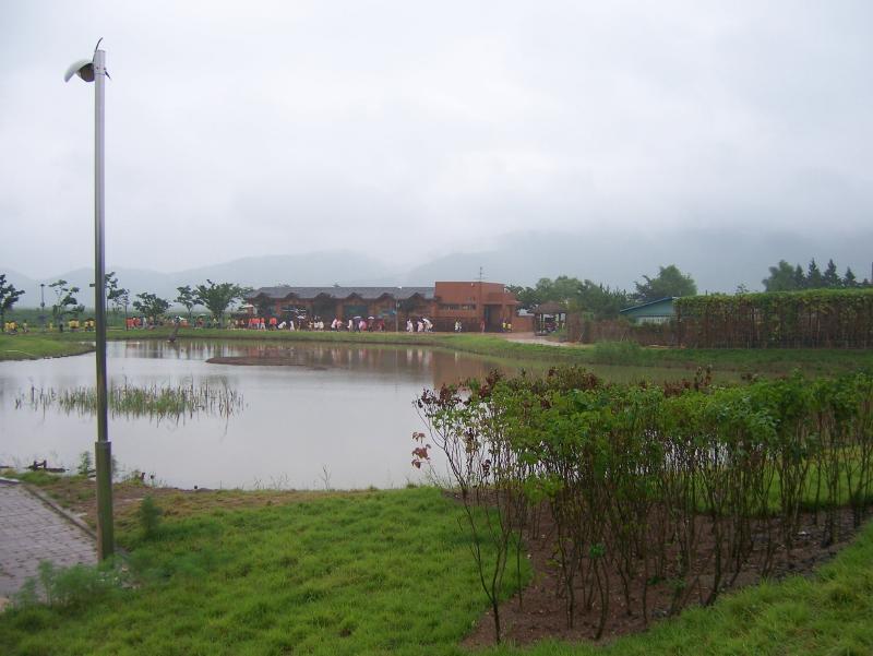 d0041400_13544615.jpg