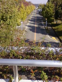 c0218402_21384440.jpg