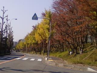 c0218402_2139468.jpg