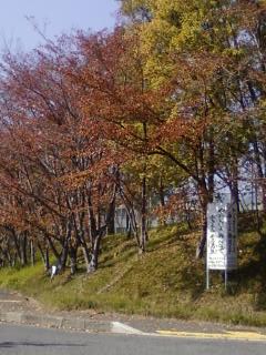 c0218402_21405990.jpg