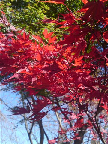 b0042903_20575643.jpg