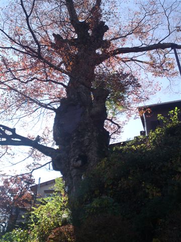 b0042903_2114842.jpg