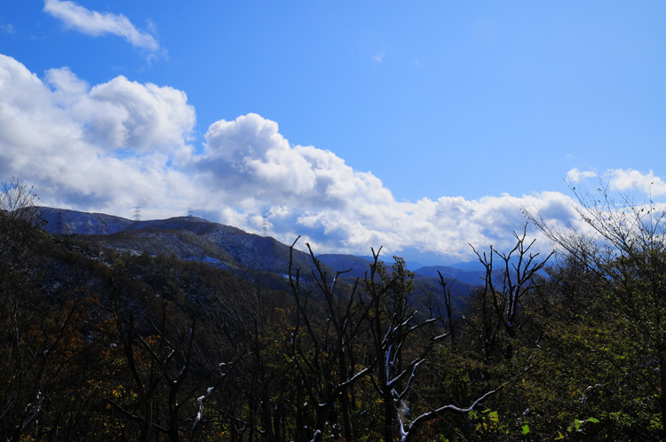 b0158403_15594070.jpg