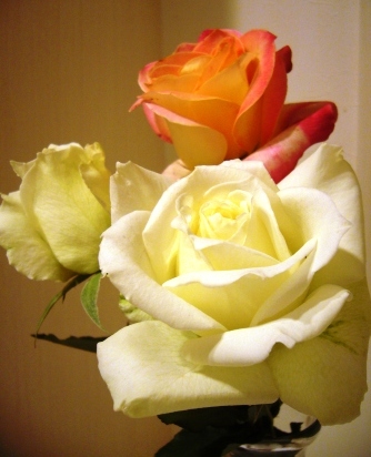 e0186603_2234281.jpg