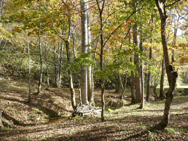 d0131505_11171622.jpg