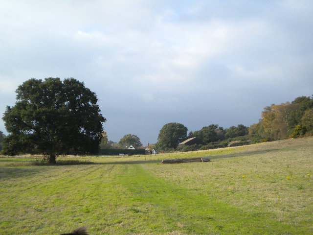 e0160905_7273279.jpg