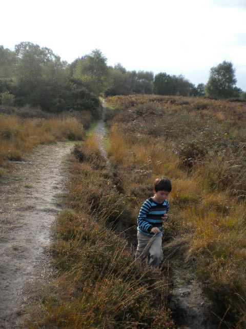 e0160905_7424440.jpg