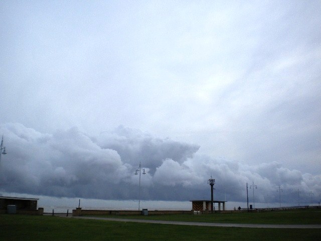 e0160905_814858.jpg