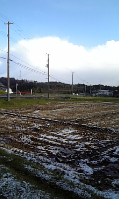d0005807_8413929.jpg