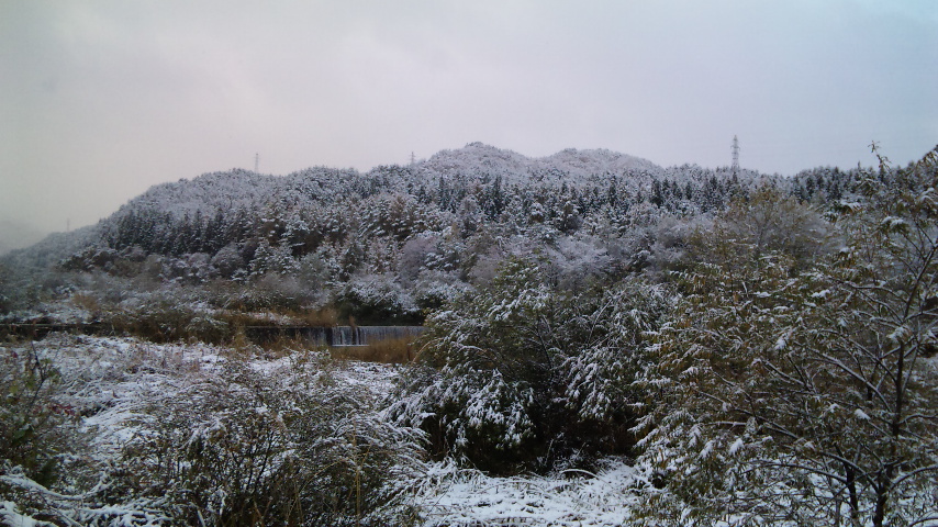 目が覚めたら雪_d0099708_9363481.jpg