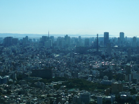 e0118908_1531232.jpg