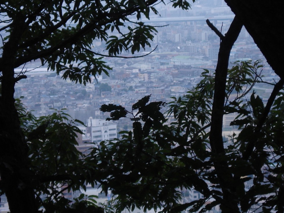 b0118209_1072493.jpg