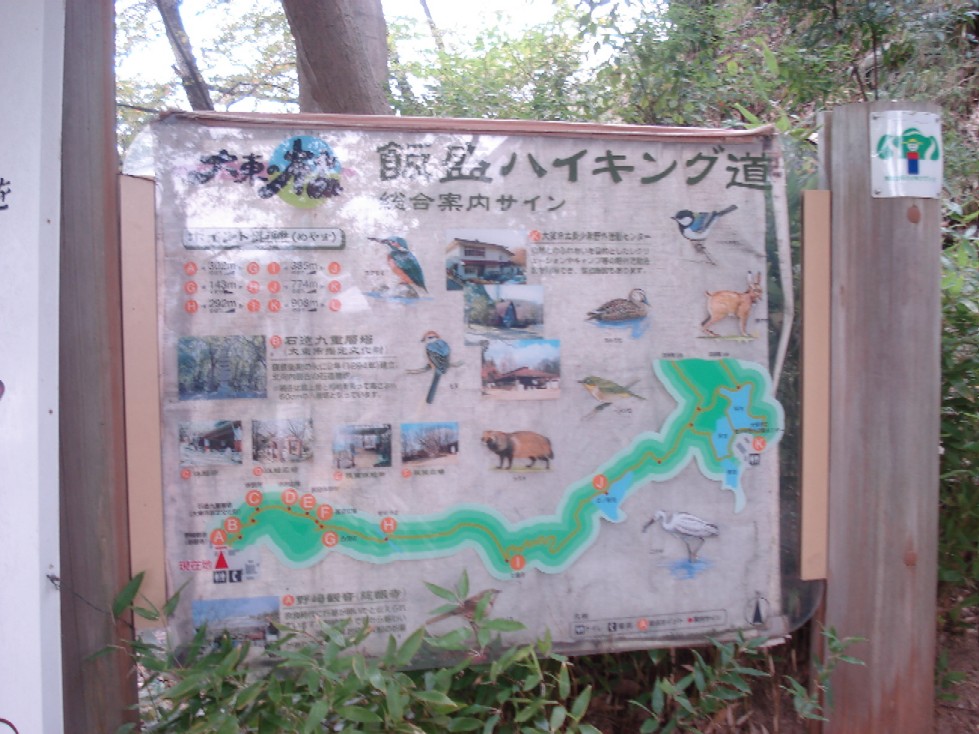 b0118209_941238.jpg
