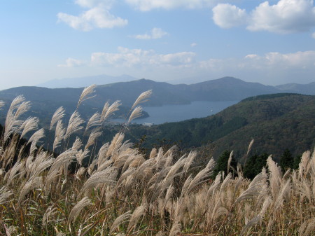 b0042310_21394037.jpg