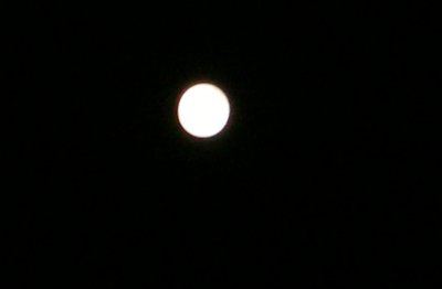 c0190010_20205097.jpg