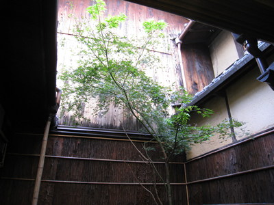 f0033510_223313.jpg