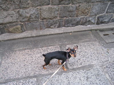 f0033510_22342734.jpg
