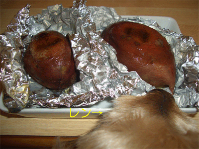 c0143711_1815157.gif