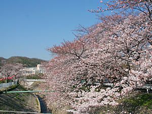 a0019212_224605.jpg