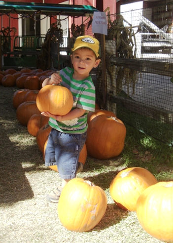 Pumpkin Patch 再び。_b0011412_13194528.jpg