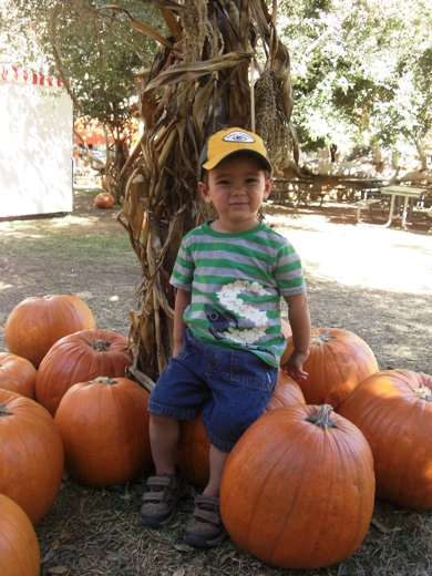 Pumpkin Patch 再び。_b0011412_13223184.jpg