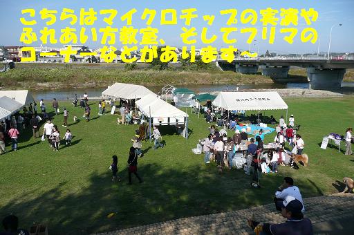f0121712_2218284.jpg
