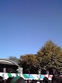 d0002513_1741560.jpg