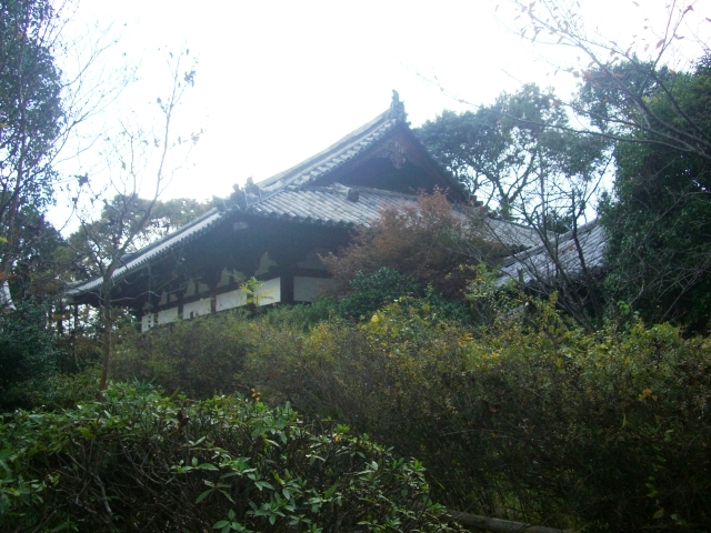 d0007913_11221773.jpg