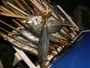 美味しいぞお~!!_c0211615_13173865.jpg