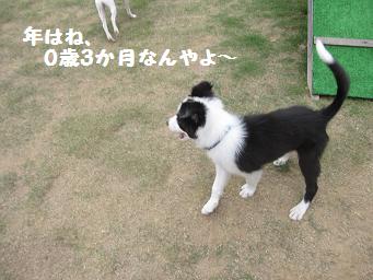 11月3日 寒いよー!_e0136815_7563845.jpg